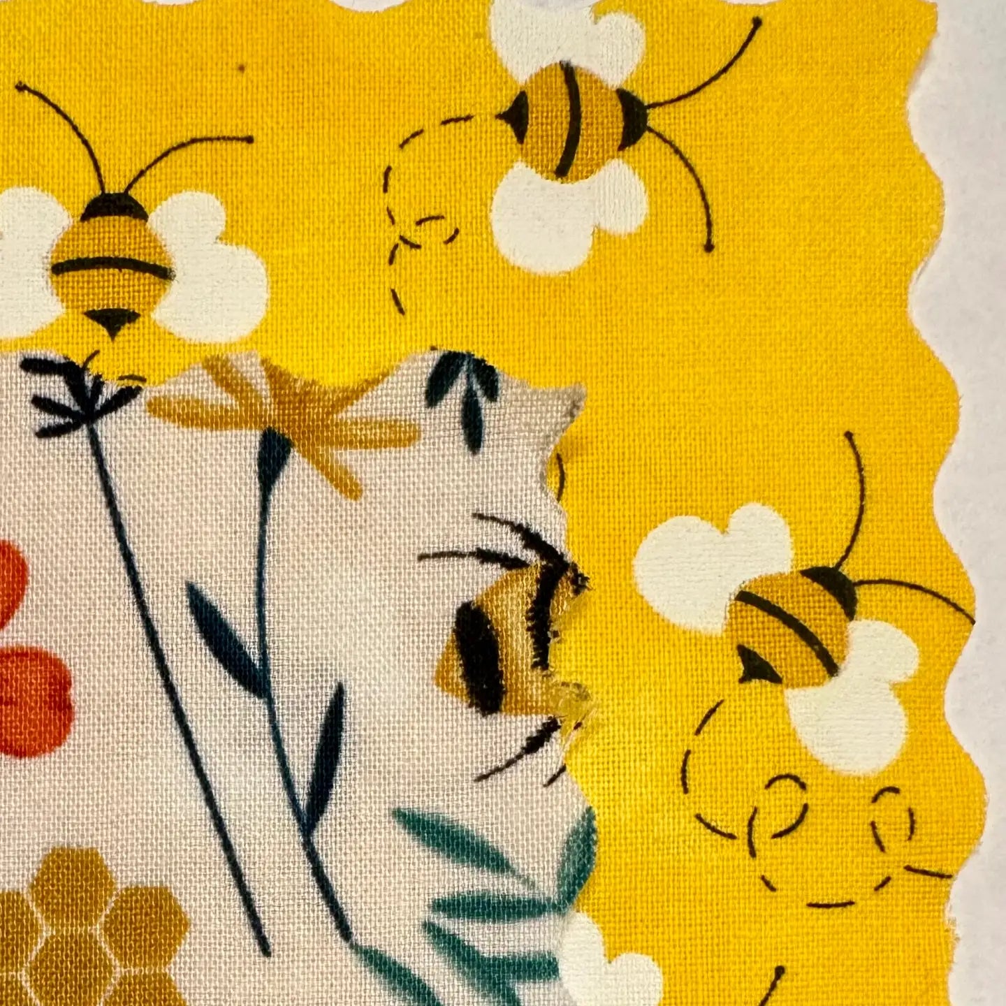 Beeswax Food Wrap
