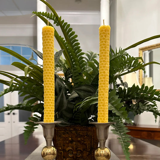 Beeswax Taper Candle (sets of 2)